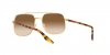 RB3699 Sunglasses