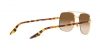 RB3699 Sunglasses