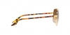 RB3699 Sunglasses
