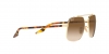 RB3699 Sunglasses