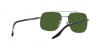 RB3699 Sunglasses