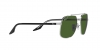 RB3699 Sunglasses