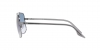 RB3699 Sunglasses