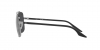 RB3699 Sunglasses