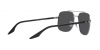 RB3699 Sunglasses