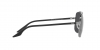 RB3699 Sunglasses