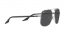 RB3699 Sunglasses
