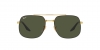 RB3699 Sunglasses