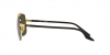 RB3699 Sunglasses