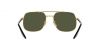 RB3699 Sunglasses