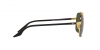 RB3699 Sunglasses