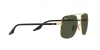RB3699 Sunglasses