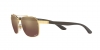 RB3701 Sunglasses