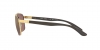 RB3701 Sunglasses