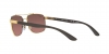 RB3701 Sunglasses
