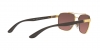 RB3701 Sunglasses