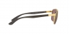 RB3701 Sunglasses