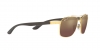 RB3701 Sunglasses