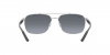 RB3701 Sunglasses
