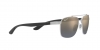 RB3701 Sunglasses