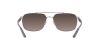 RB3701 Sunglasses