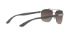 RB3701 Sunglasses