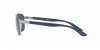 RB3701 Sunglasses