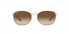 RB3701 Sunglasses