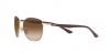 RB3701 Sunglasses