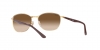 RB3701 Sunglasses