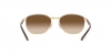 RB3701 Sunglasses