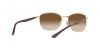 RB3701 Sunglasses