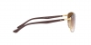 RB3701 Sunglasses