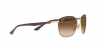RB3701 Sunglasses