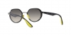 RB3703M Sunglasses