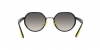 RB3703M Sunglasses