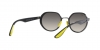RB3703M Sunglasses