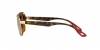 RB3703M Sunglasses