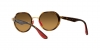 RB3703M Sunglasses