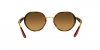 RB3703M Sunglasses