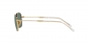 RB3706 Sunglasses