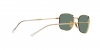 RB3706 Sunglasses