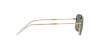 RB3706 Sunglasses