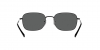 RB3706 Sunglasses