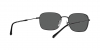 RB3706 Sunglasses