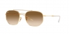 RB3707 Sunglasses