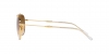 RB3707 Sunglasses