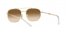 RB3707 Sunglasses