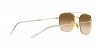RB3707 Sunglasses