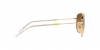 RB3707 Sunglasses